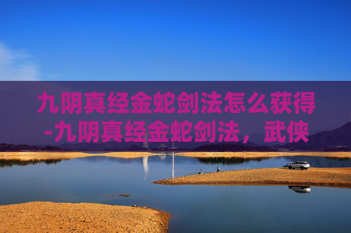 九阴真经金蛇剑法怎么获得-九阴真经金蛇剑法，武侠世界中的传奇技艺