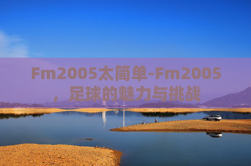 Fm2005太简单-Fm2005，足球的魅力与挑战