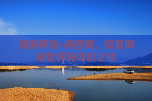 男爵网赌-男爵网，探索网络世界的奇幻之旅