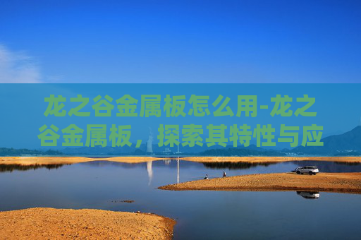 龙之谷金属板怎么用-龙之谷金属板，探索其特性与应用