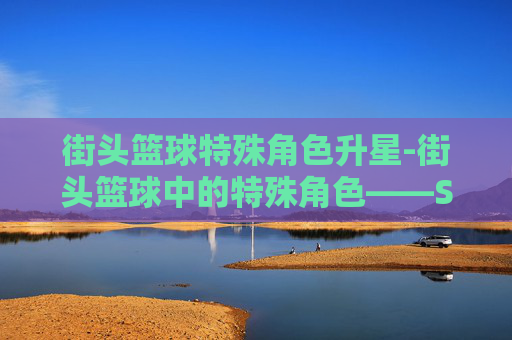 街头篮球特殊角色升星-街头篮球中的特殊角色——SF（Small Forward）