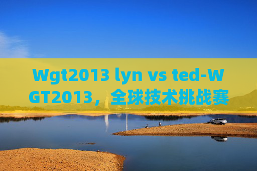 Wgt2013 lyn vs ted-WGT2013，全球技术挑战赛的启示与影响