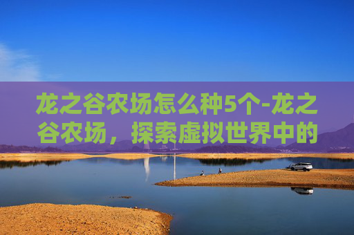 龙之谷农场怎么种5个-龙之谷农场，探索虚拟世界中的农业奇迹