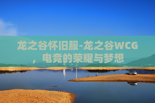 龙之谷怀旧服-龙之谷WCG，电竞的荣耀与梦想