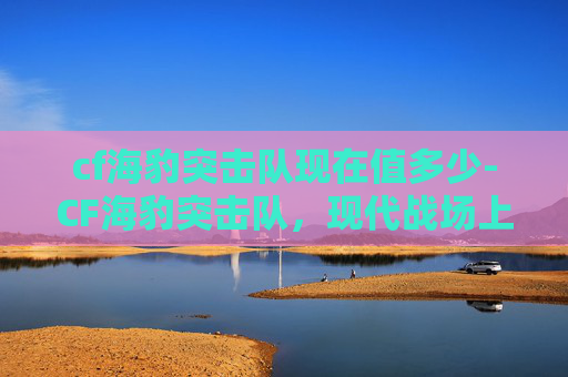 cf海豹突击队现在值多少-CF海豹突击队，现代战场上的精英力量