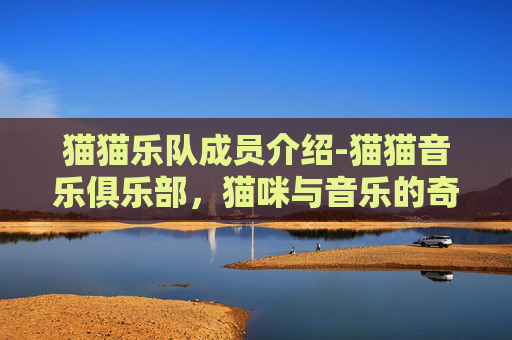 猫猫乐队成员介绍-猫猫音乐俱乐部，猫咪与音乐的奇妙邂逅