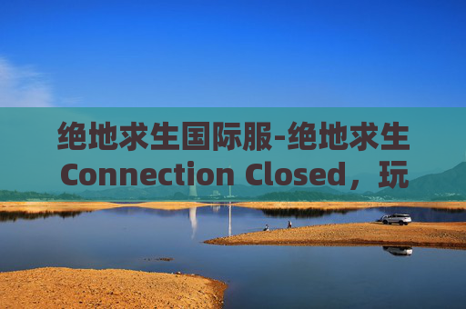 绝地求生国际服-绝地求生Connection Closed，玩家遭遇网络问题，游戏世界陷入困境