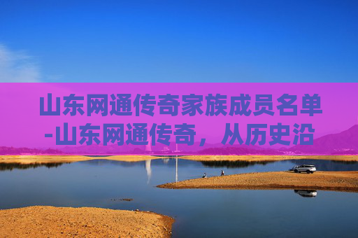 山东网通传奇家族成员名单-山东网通传奇，从历史沿革到现代辉煌的跨越