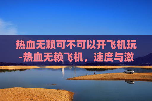 热血无赖可不可以开飞机玩-热血无赖飞机，速度与激情的完美结合