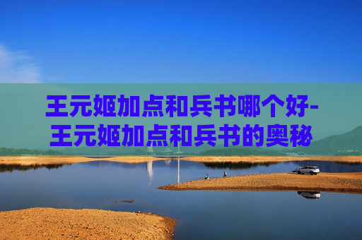 王元姬加点和兵书哪个好-王元姬加点和兵书的奥秘