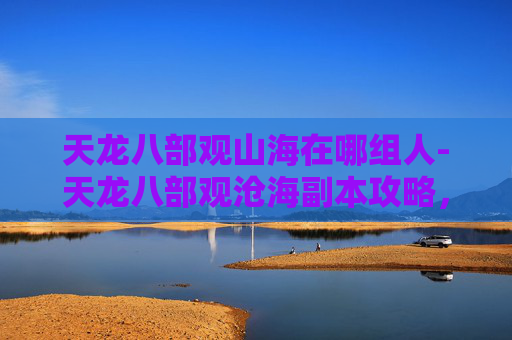 天龙八部观山海在哪组人-天龙八部观沧海副本攻略，如何高效进入与战斗策略