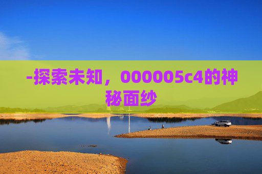 -探索未知，000005c4的神秘面纱