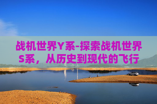 战机世界Y系-探索战机世界S系，从历史到现代的飞行传奇