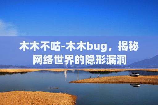 木木不咕-木木bug，揭秘网络世界的隐形漏洞