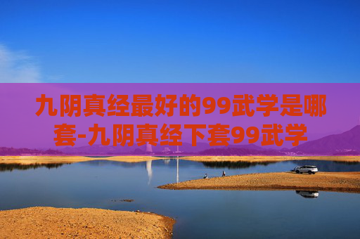 九阴真经最好的99武学是哪套-九阴真经下套99武学