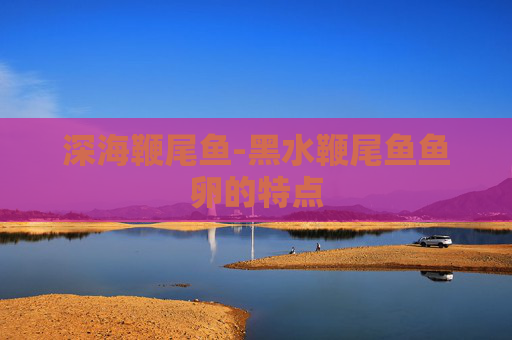 深海鞭尾鱼-黑水鞭尾鱼鱼卵的特点