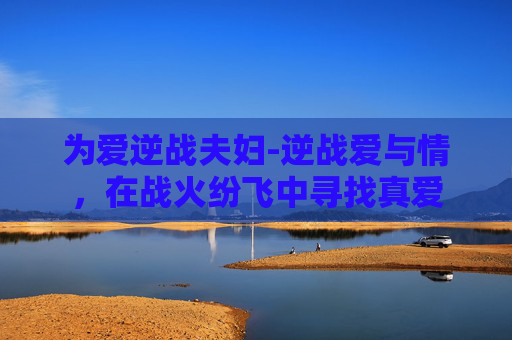 为爱逆战夫妇-逆战爱与情，在战火纷飞中寻找真爱