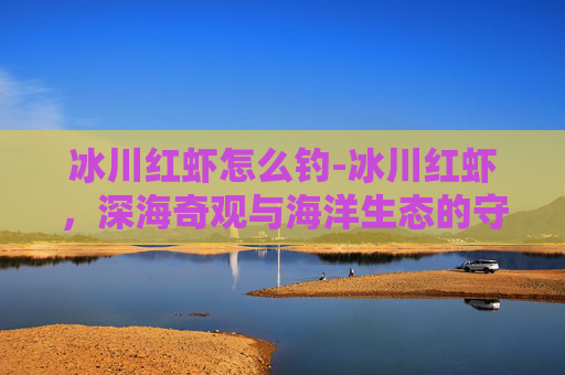 冰川红虾怎么钓-冰川红虾，深海奇观与海洋生态的守护者