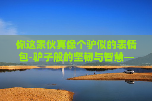 你这家伙真像个驴似的表情包-驴子般的坚韧与智慧——生活中的不屈精神