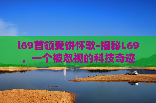 l69首领受饼怀歌-揭秘L69，一个被忽视的科技奇迹