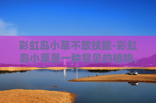 彩虹岛小草不放技能-彩虹岛小草是一种常见的植物，它有着独特的生长习性和用途。本文将介绍彩虹岛小草的使用方法，帮助您更好地利用这一资源