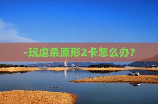 -玩虐杀原形2卡怎么办？