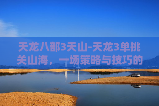 天龙八部3天山-天龙3单挑关山海，一场策略与技巧的较量