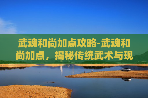 武魂和尚加点攻略-武魂和尚加点，揭秘传统武术与现代修行的完美融合
