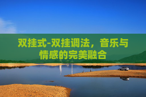 双挂式-双挂调法，音乐与情感的完美融合