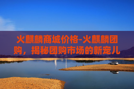 火麒麟商城价格-火麒麟团购，揭秘团购市场的新宠儿