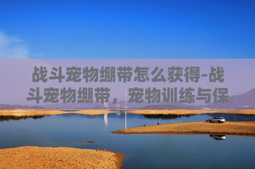 战斗宠物绷带怎么获得-战斗宠物绷带，宠物训练与保护的完美结合