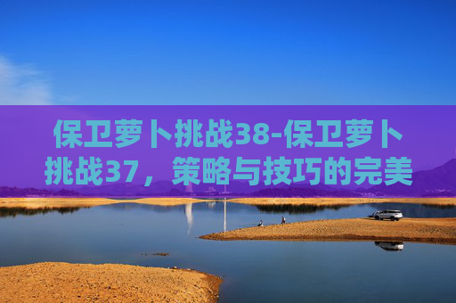 保卫萝卜挑战38-保卫萝卜挑战37，策略与技巧的完美融合