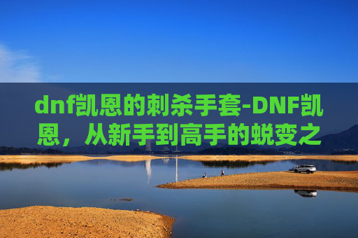 dnf凯恩的刺杀手套-DNF凯恩，从新手到高手的蜕变之路