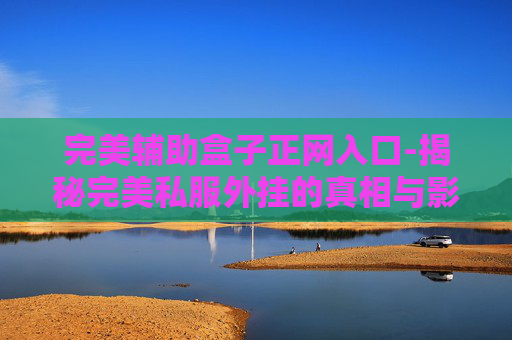 完美辅助盒子正网入口-揭秘完美私服外挂的真相与影响