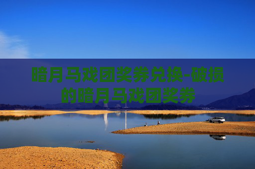暗月马戏团奖券兑换-破损的暗月马戏团奖券