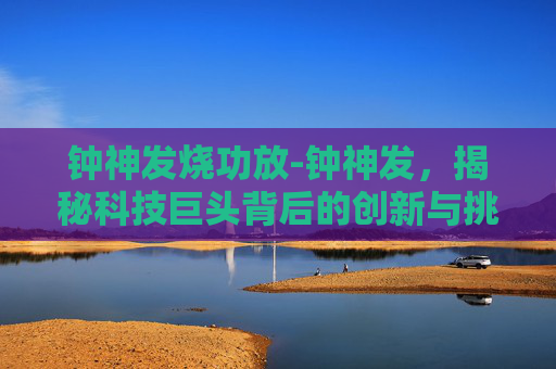 钟神发烧功放-钟神发，揭秘科技巨头背后的创新与挑战
