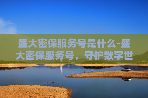盛大密保服务号是什么-盛大密保服务号，守护数字世界的安全堡垒