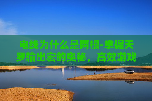电线为什么是两根-掌握天罗输出宏的奥秘，高效游戏技巧与策略