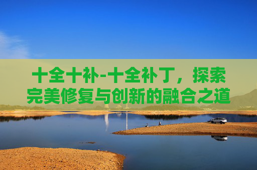 十全十补-十全补丁，探索完美修复与创新的融合之道