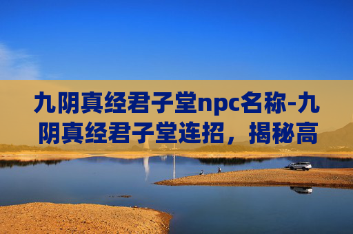 九阴真经君子堂npc名称-九阴真经君子堂连招，揭秘高手对决中的华丽技巧