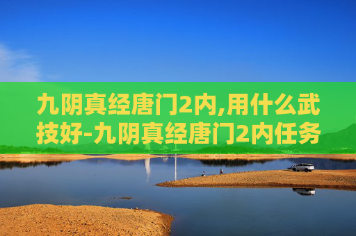 九阴真经唐门2内,用什么武技好-九阴真经唐门2内任务攻略，揭秘隐藏任务与技巧