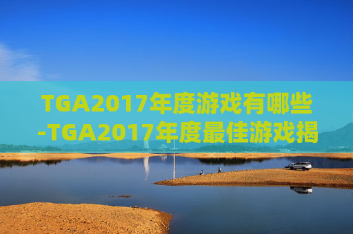 TGA2017年度游戏有哪些-TGA2017年度最佳游戏揭晓，创新与经典共舞，玩家期待的盛宴