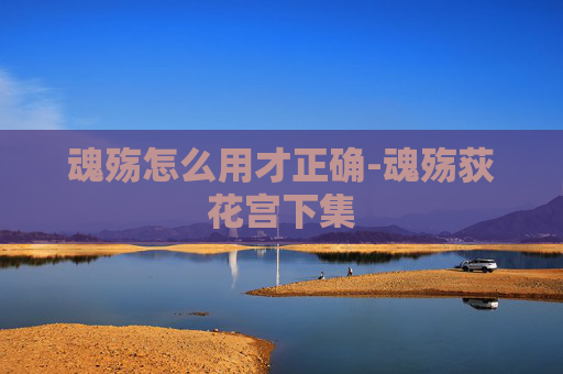 魂殇怎么用才正确-魂殇荻花宫下集