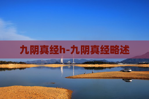九阴真经h-九阴真经略述