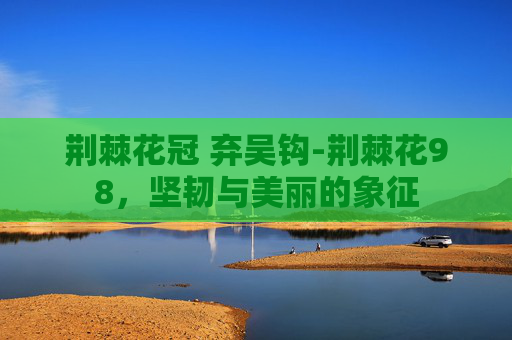 荆棘花冠 弃吴钩-荆棘花98，坚韧与美丽的象征