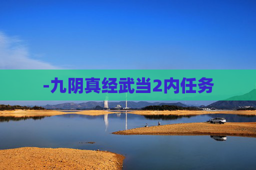 -九阴真经武当2内任务