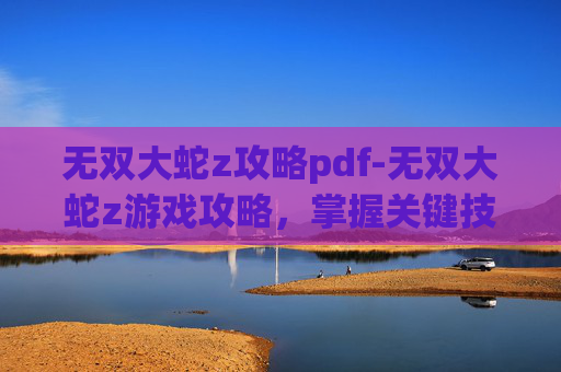 无双大蛇z攻略pdf-无双大蛇z游戏攻略，掌握关键技巧，轻松通关！