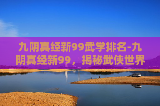 九阴真经新99武学排名-九阴真经新99，揭秘武侠世界的终极秘籍