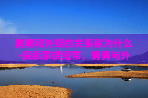 舅舅和外甥的关系称为什么-探索家族纽带，舅舅与外甥之间微妙而深厚的关系