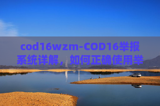 cod16wzm-COD16举报系统详解，如何正确使用举报功能，以及它的重要性